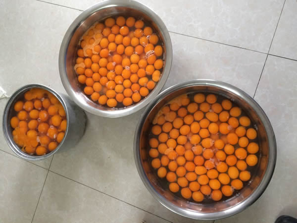 來(lái)鳳祥和食品產(chǎn)品展示圖