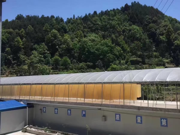 來(lái)鳳祥和食品產(chǎn)品展示圖